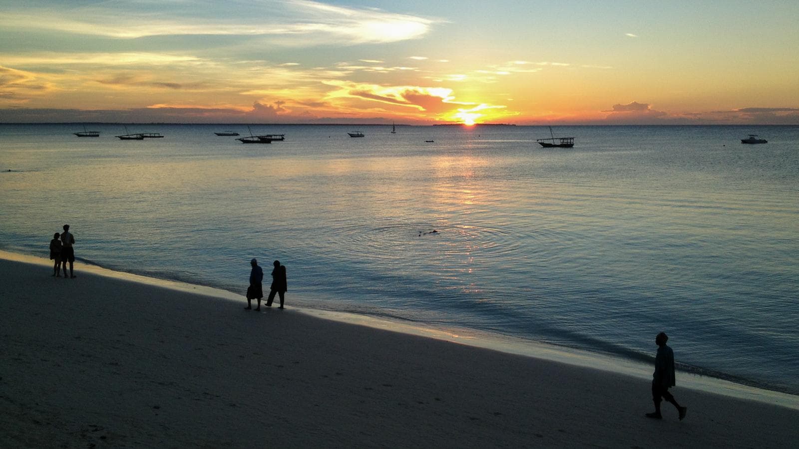 Banner image of Classic Serengeti & Zanzibar