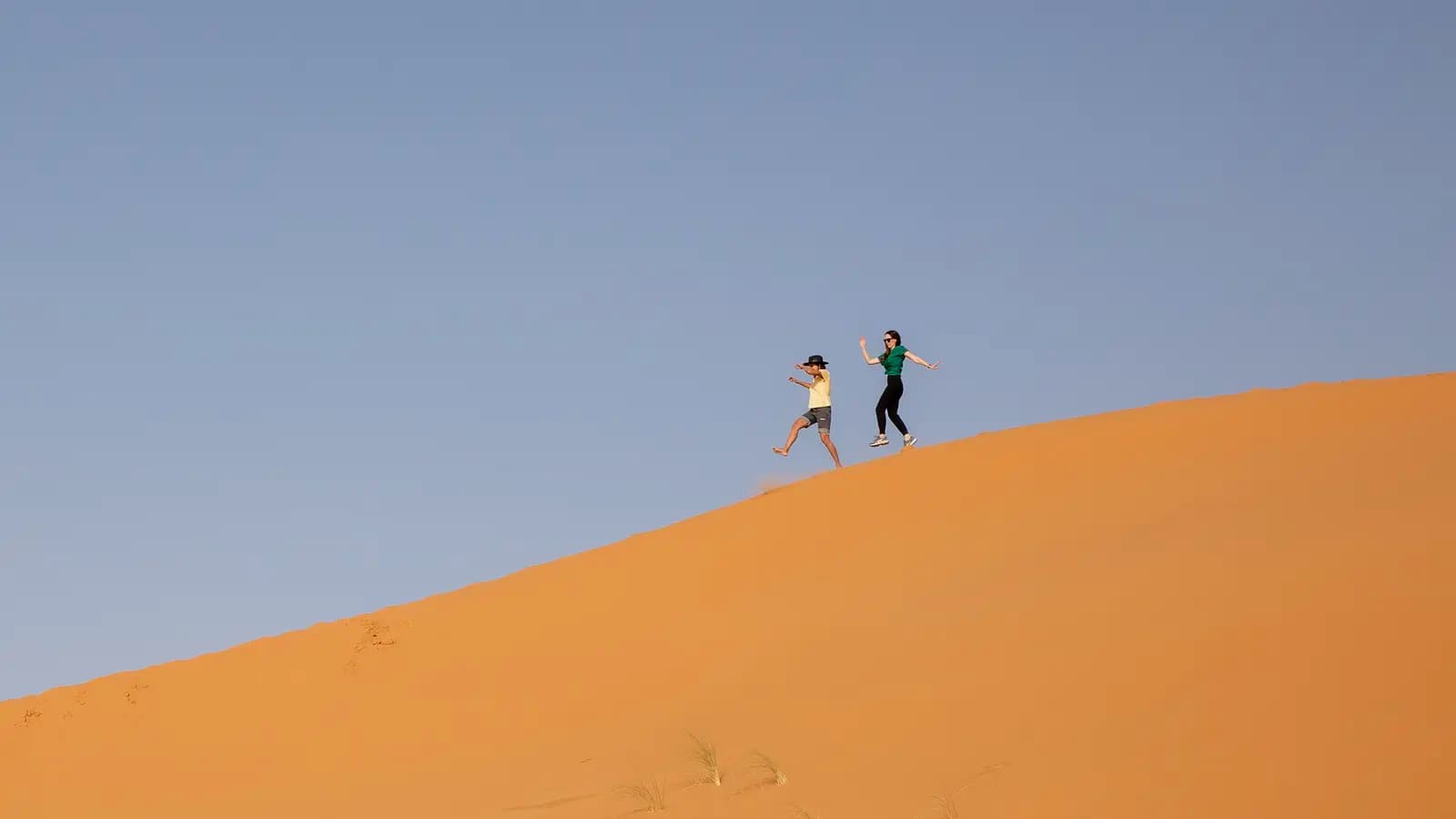 Banner image of Highlights of Morocco