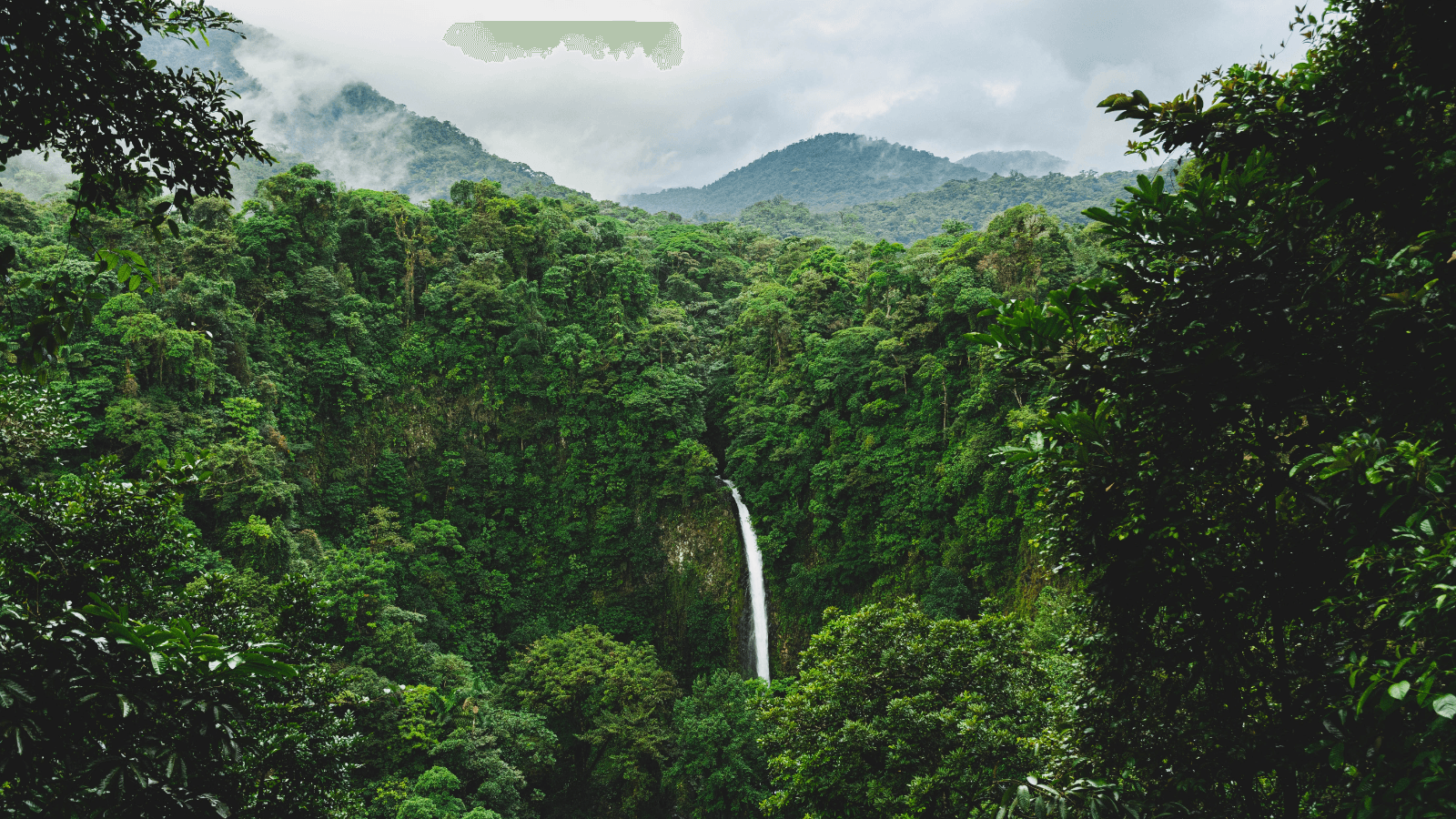 Feel it all on a five senses Costa Rica tour