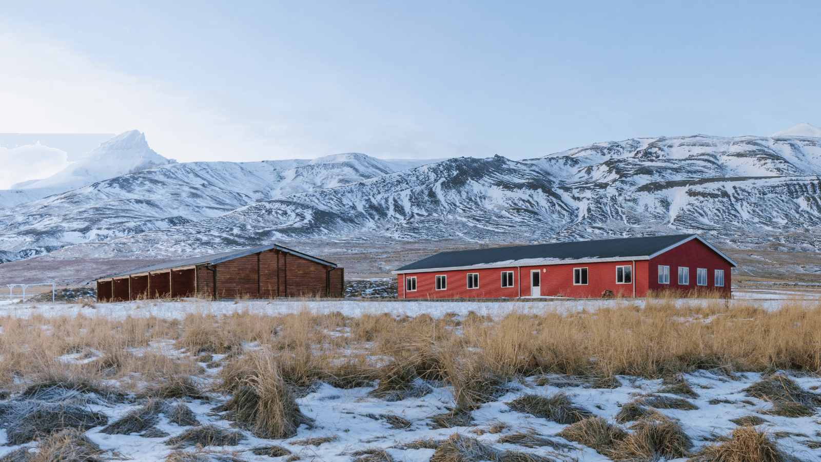 6 things you should eat (and drink) in Iceland