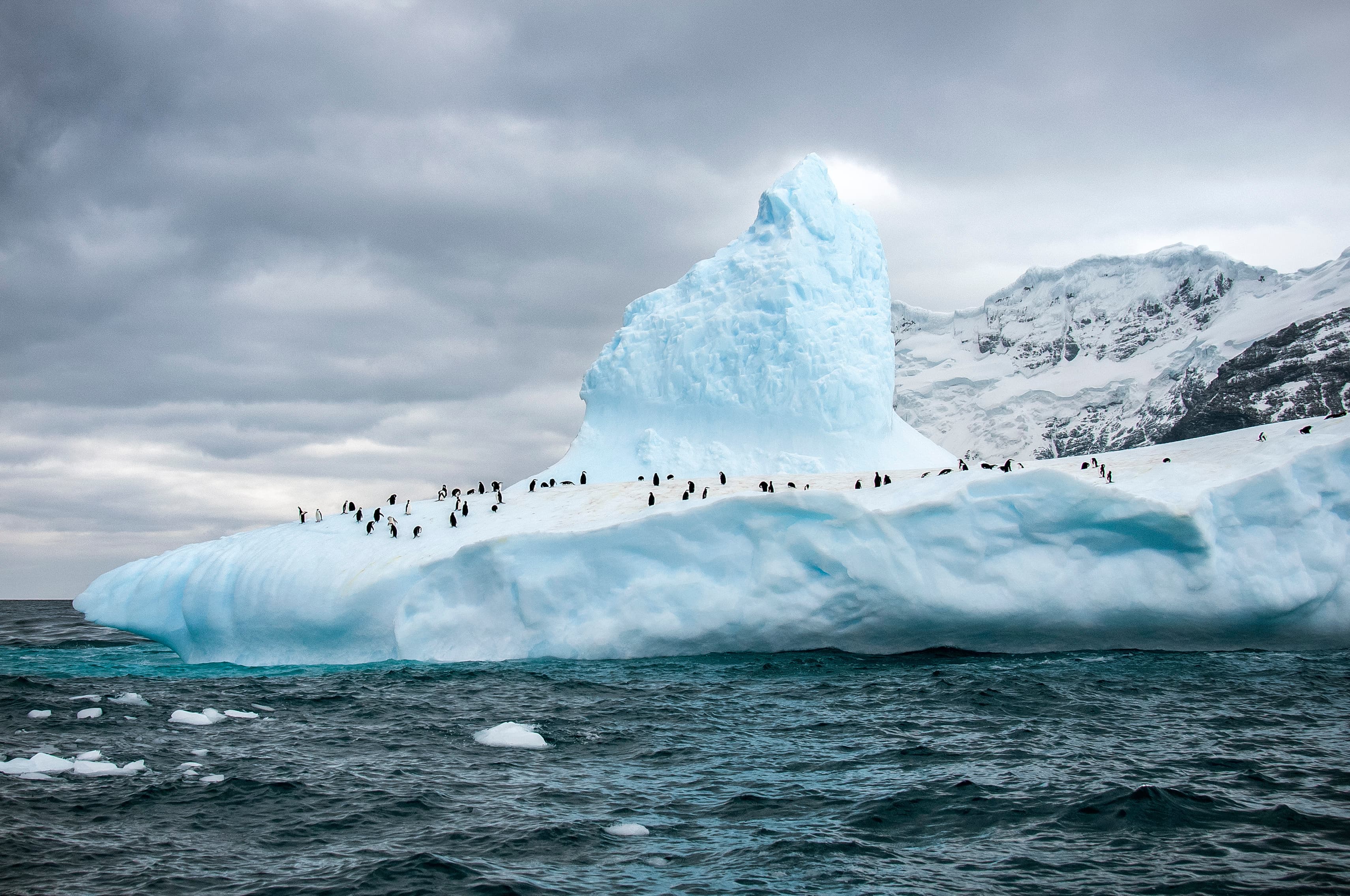 Planning a trip to Antarctica? Here are 7 experiences you can’t miss