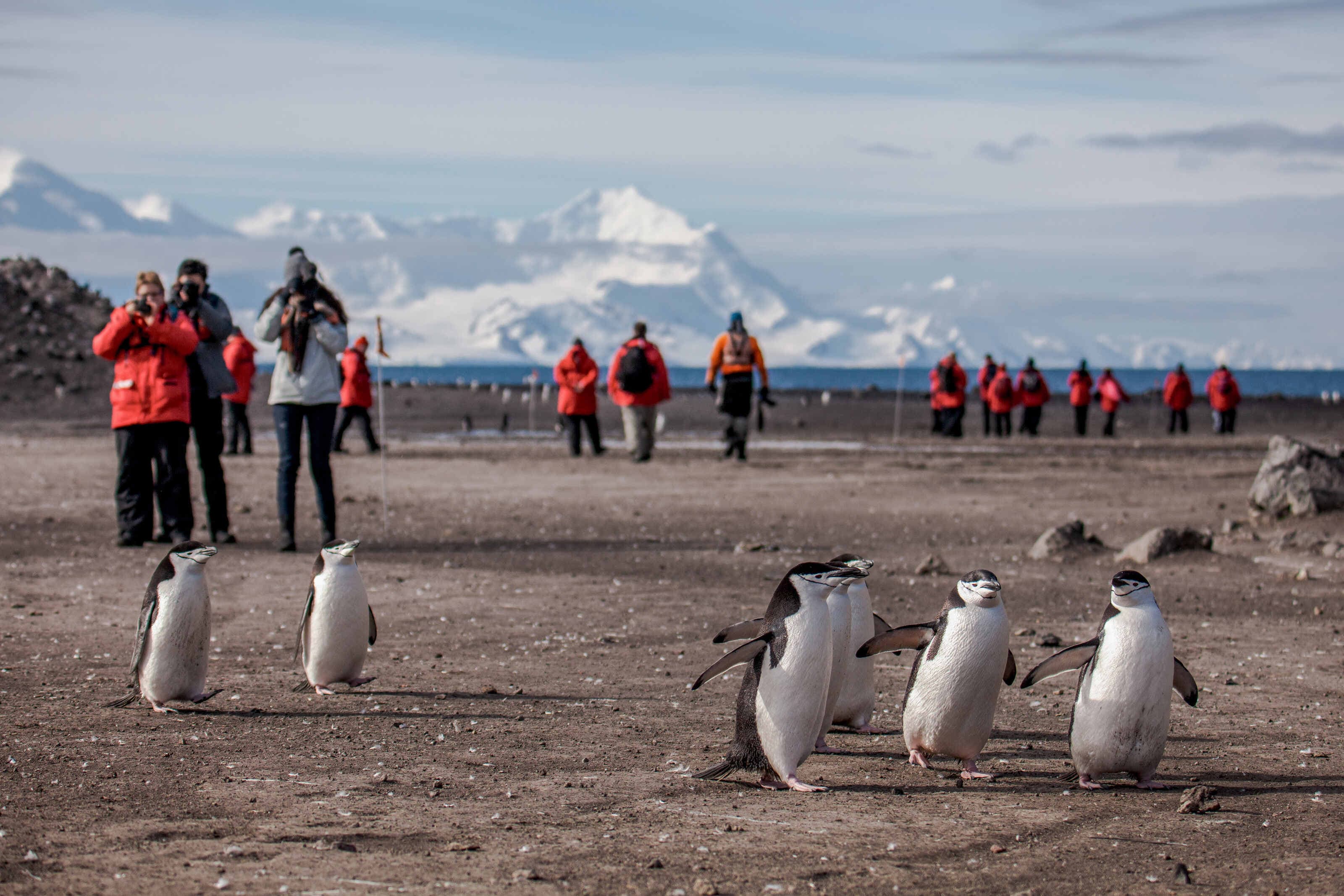 Seven epic experiences for your Antarctica bucket list