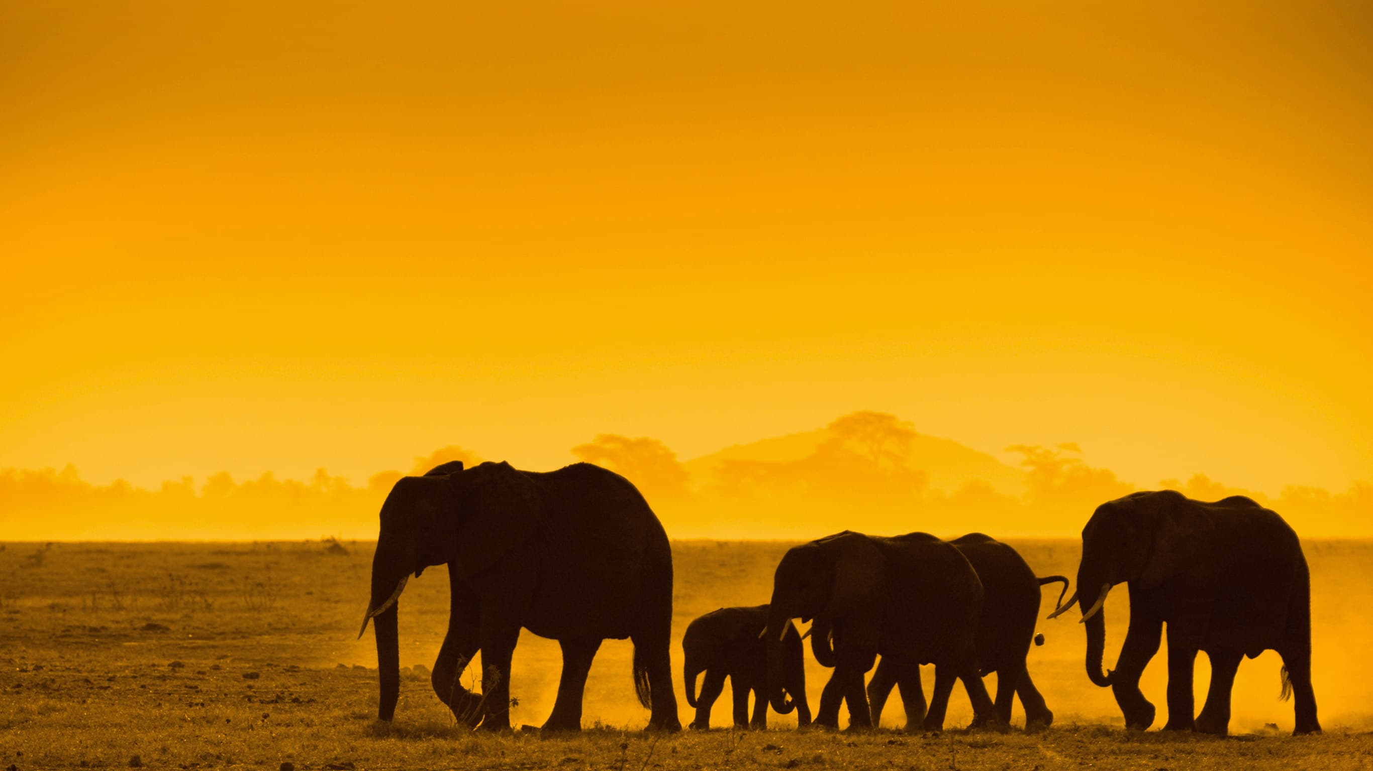 Africa’s epic ride: Nairobi to Mombasa by rail