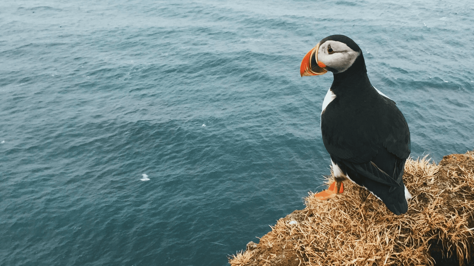 Fire up all five senses on an Iceland tour