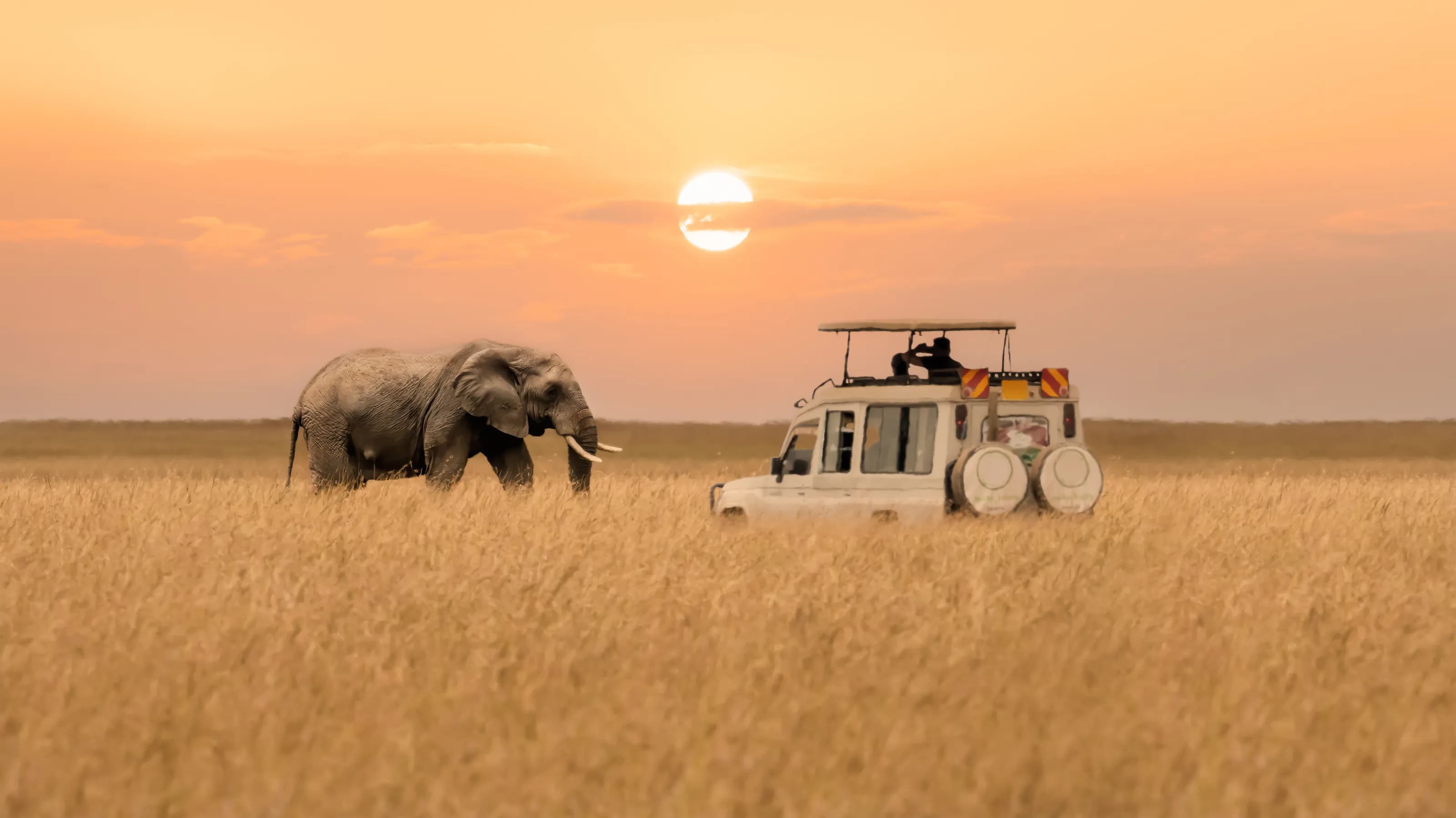 16 can't-miss things to do in Kenya