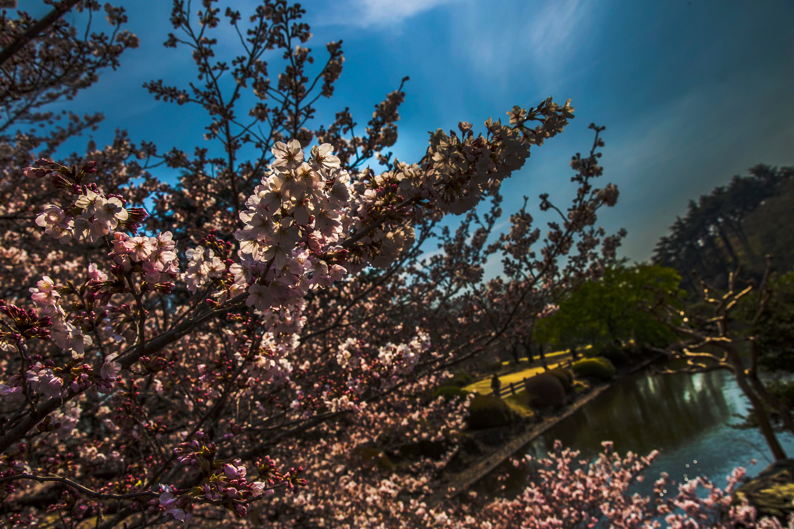 Touring Japan with my mother (again): A personal act of love and self-torture