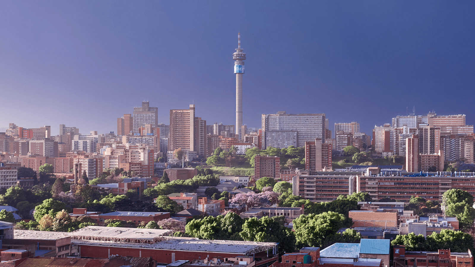 How to spend 24 hours in Johannesburg