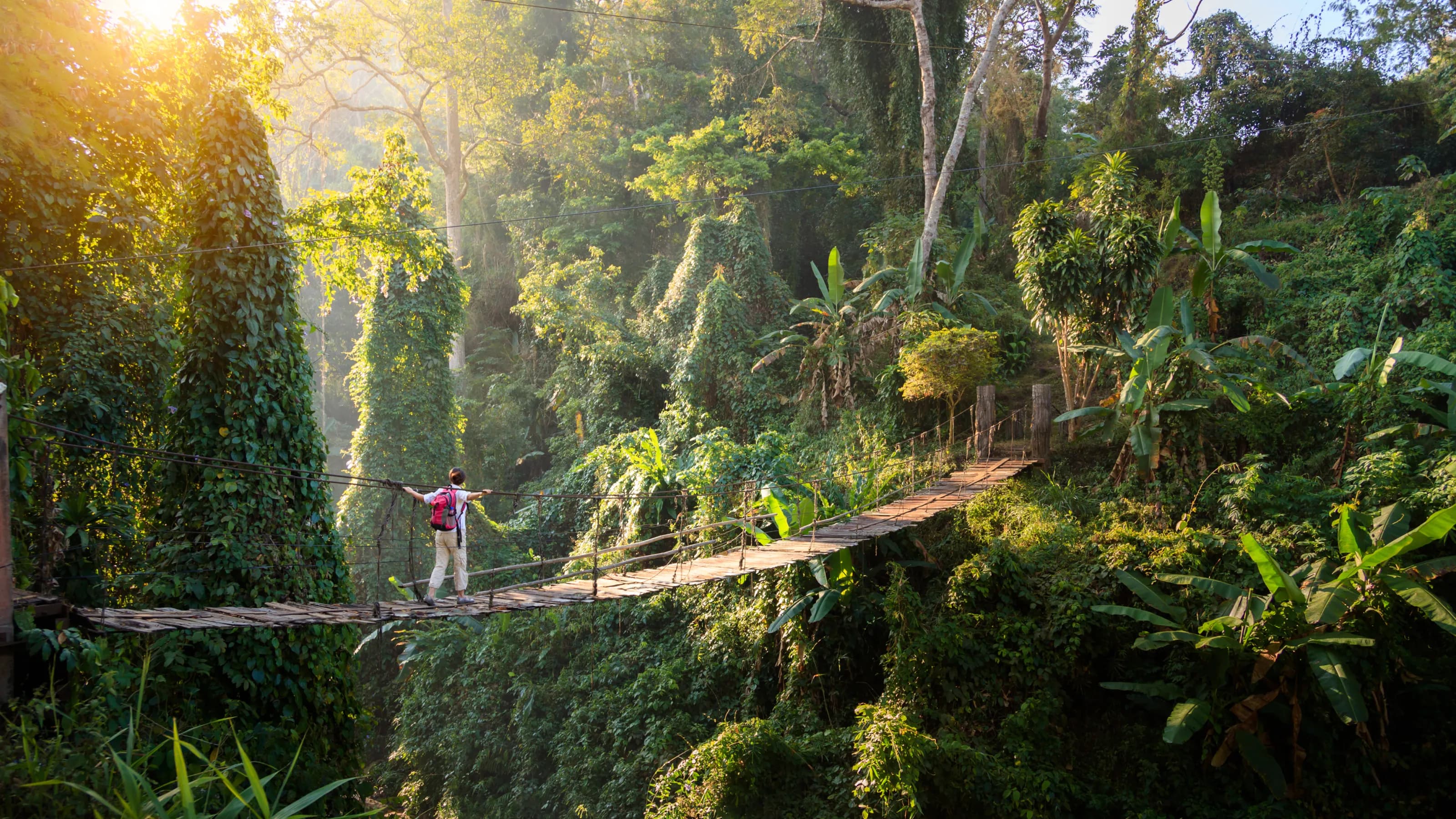 Hiking in Thailand: where to hit the trails