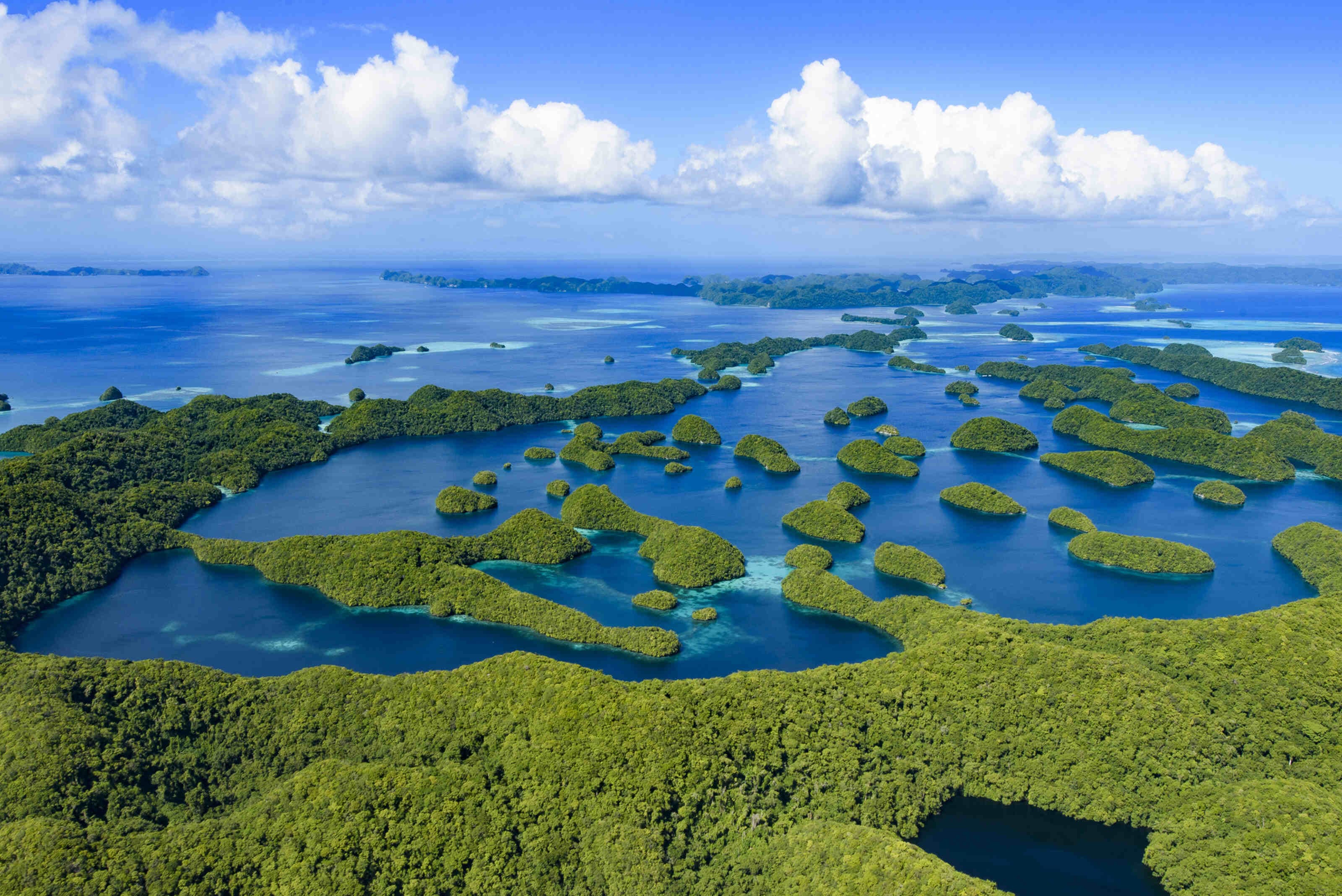 Jellyfish, drifts and giants: the very best things to do in Palau