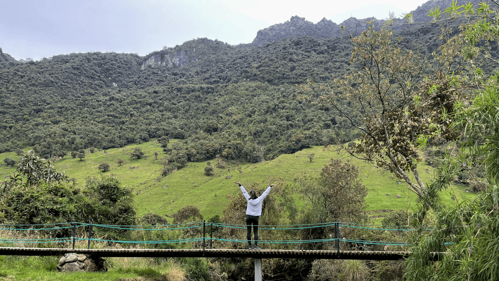 Beyond the Galápagos: my top 5 Ecuador experiences