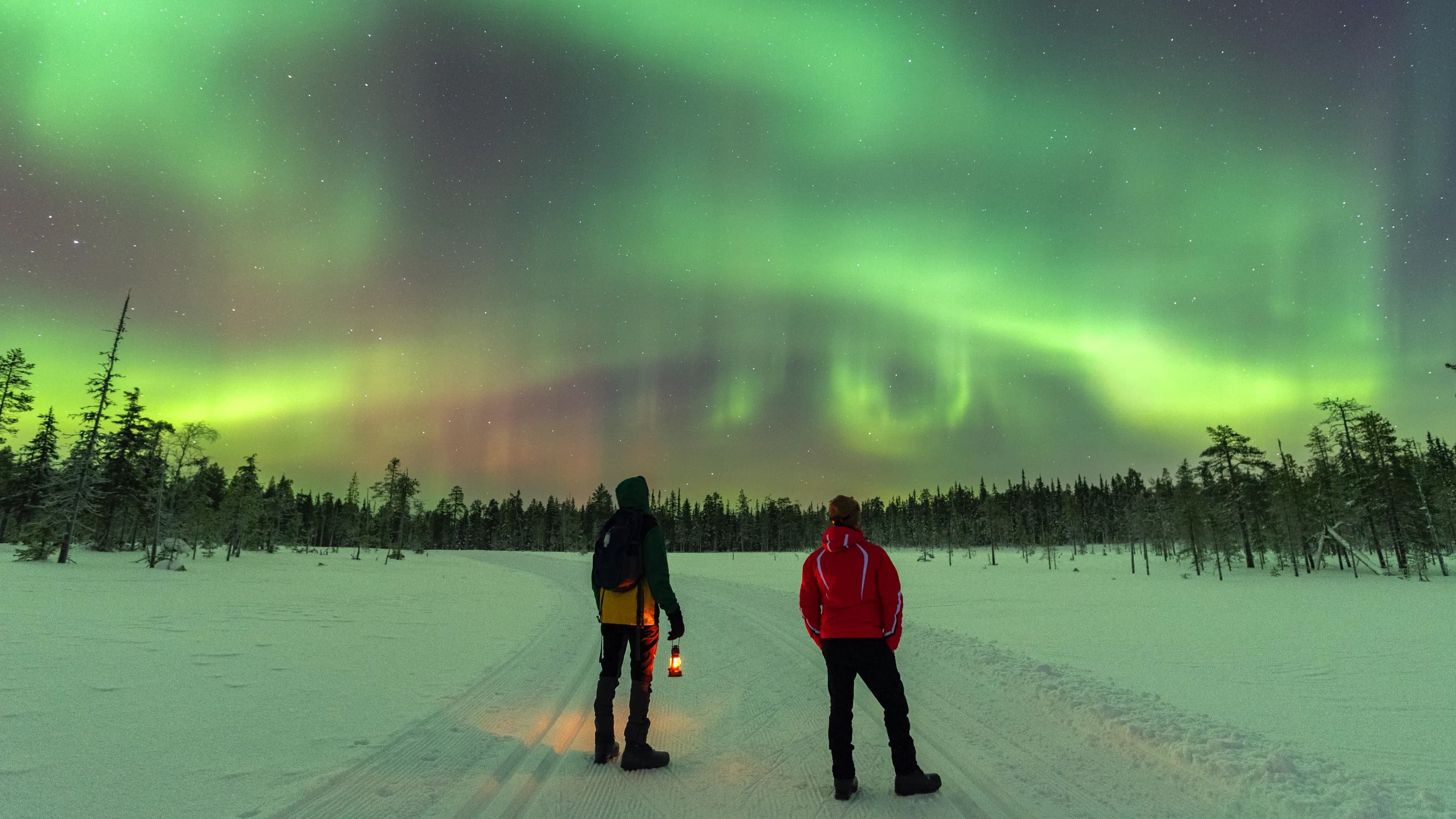 Northern Lights 101: your guide to the aurora borealis