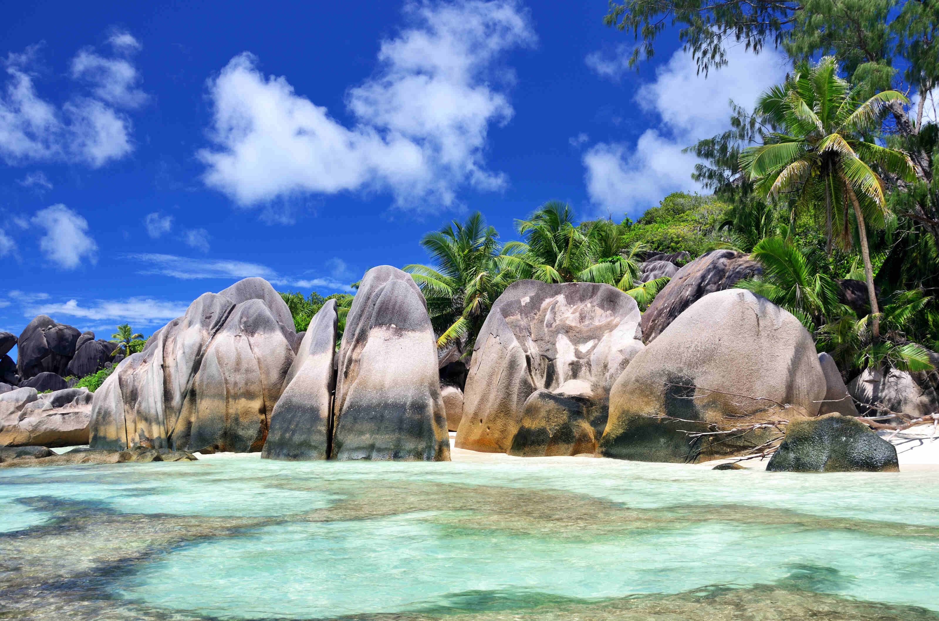 Seychelles travel guide: what to see and do in the 'Garden of Eden'