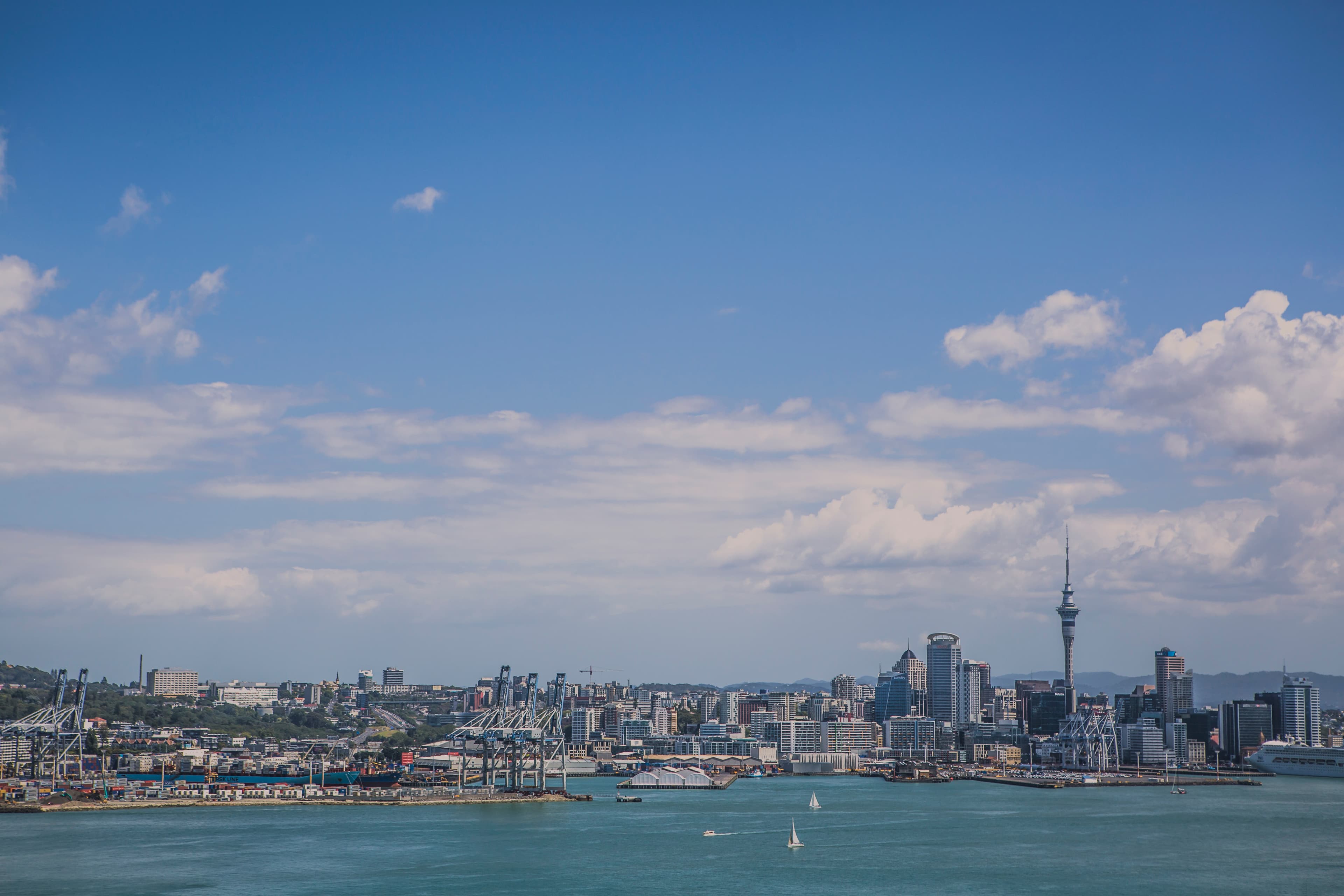 Where to eat in New Zealand: the best food stops for every budget
