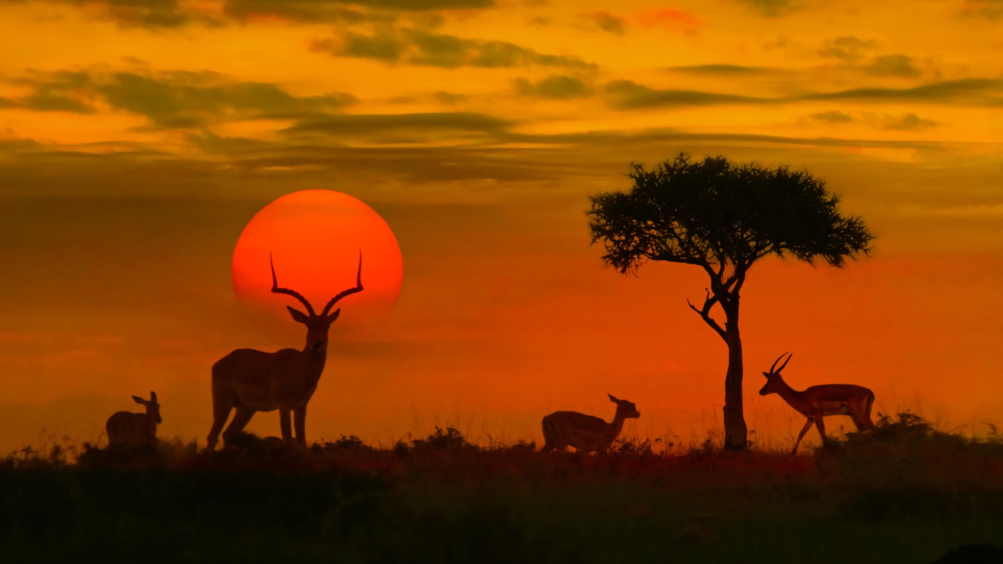 Is Kenya safe for travellers?