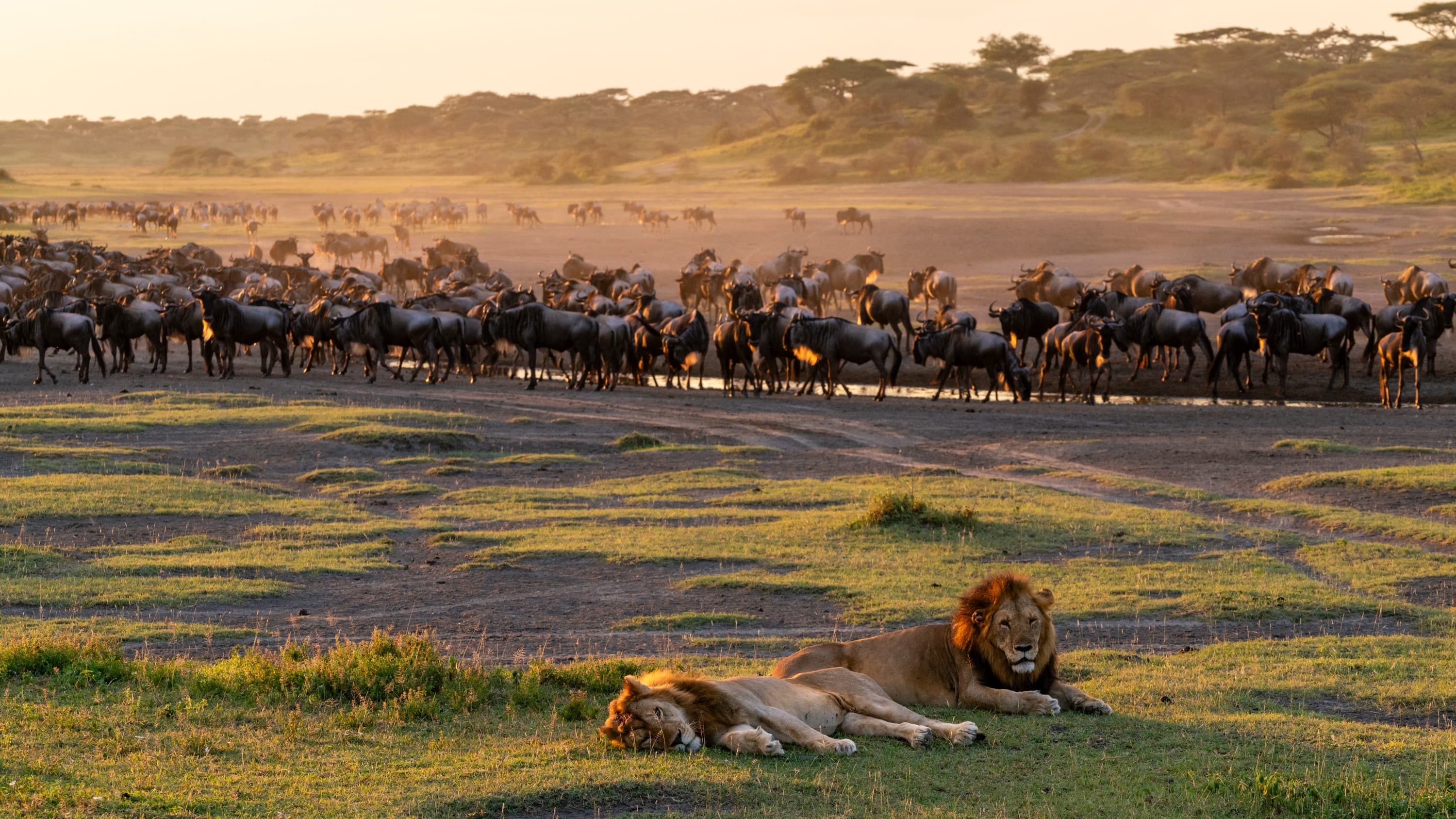 Meet the National Geographic photographer documenting conservation around the world