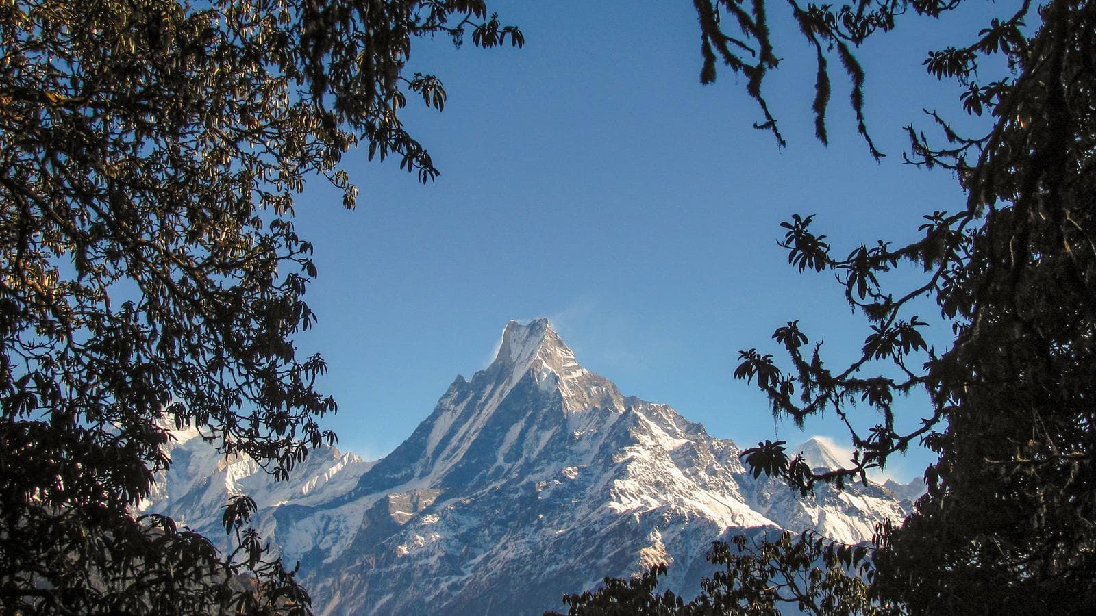 Banner image of Highlights of Nepal