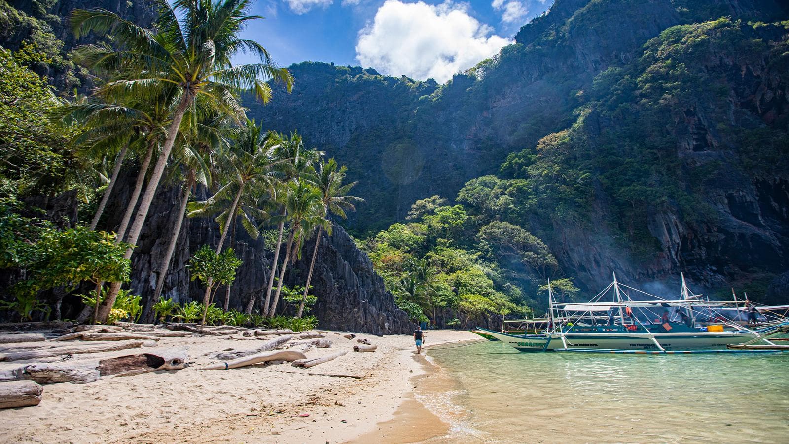 Banner image of Manila and Palawan: Jungle Trekking, Local Eats & Epic Beaches