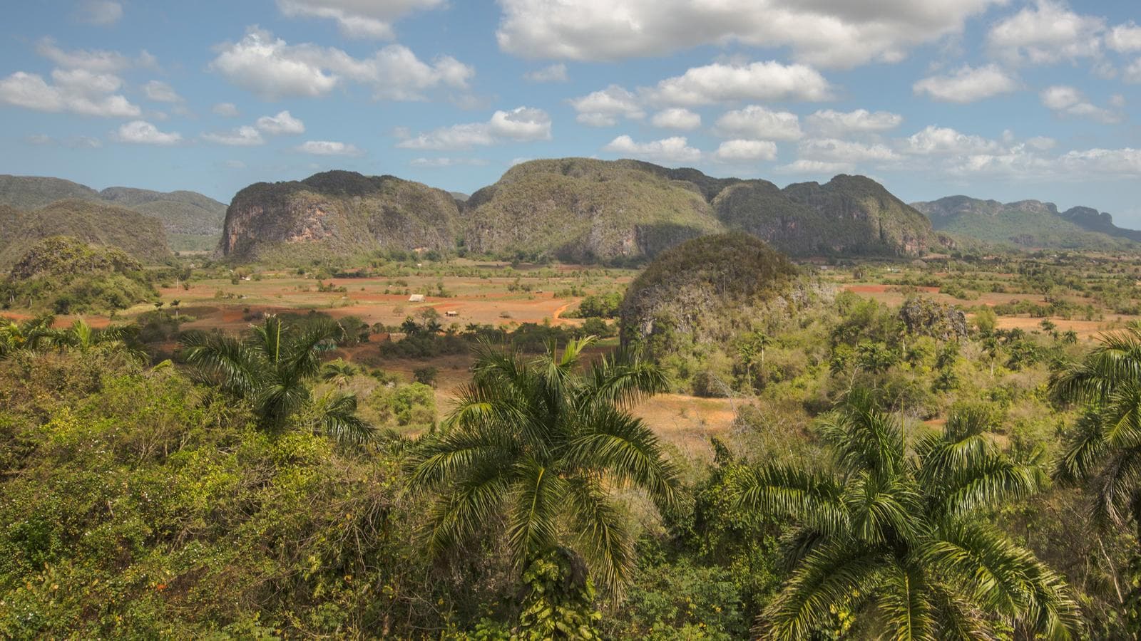 Banner image of Biking Cuba
