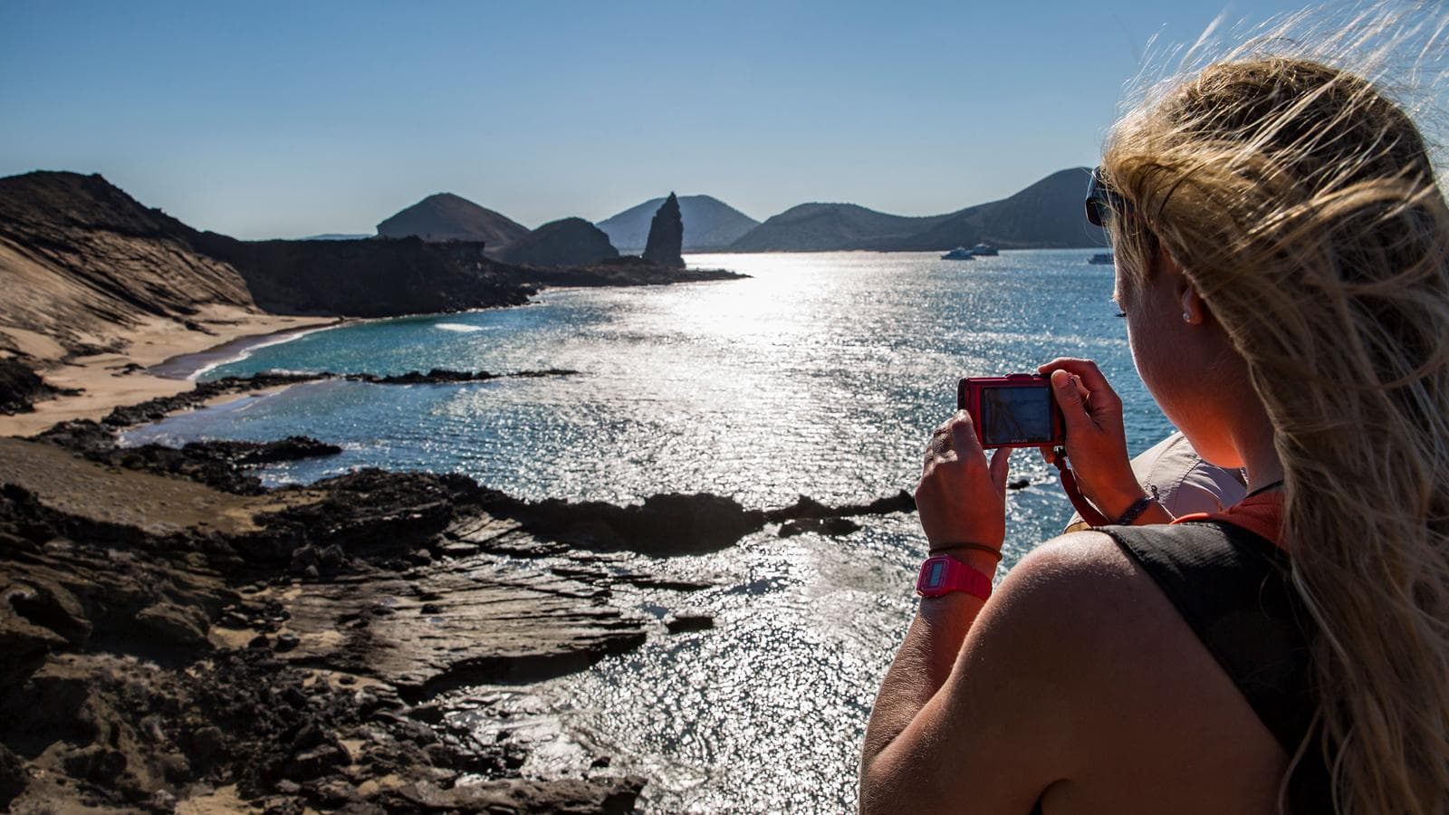 Banner image of Complete Galápagos - Yolita
