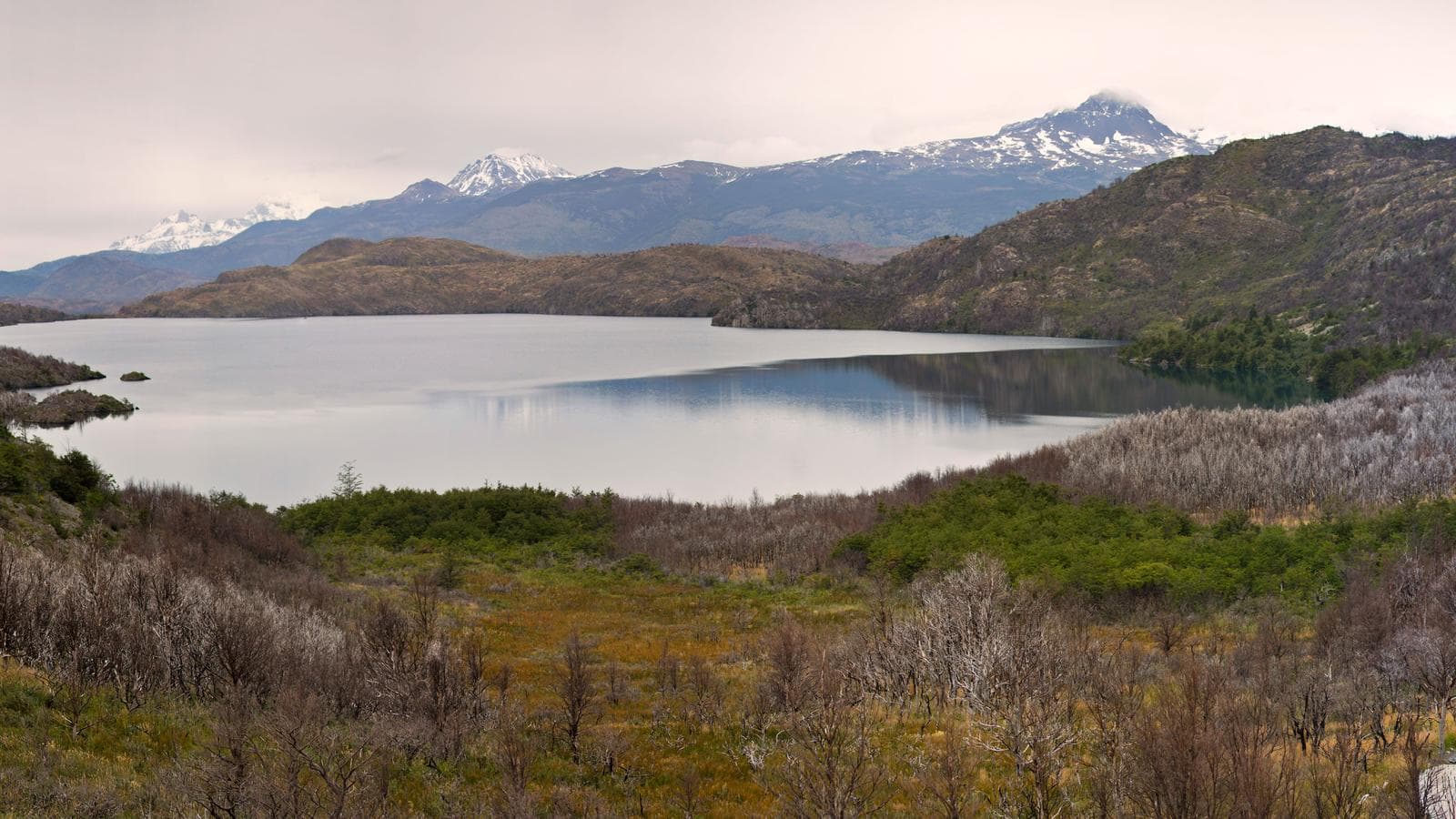 Banner image of Explore Chile & Argentina