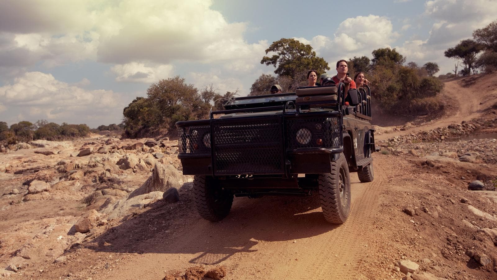 Banner image of Highlights of Southern Africa