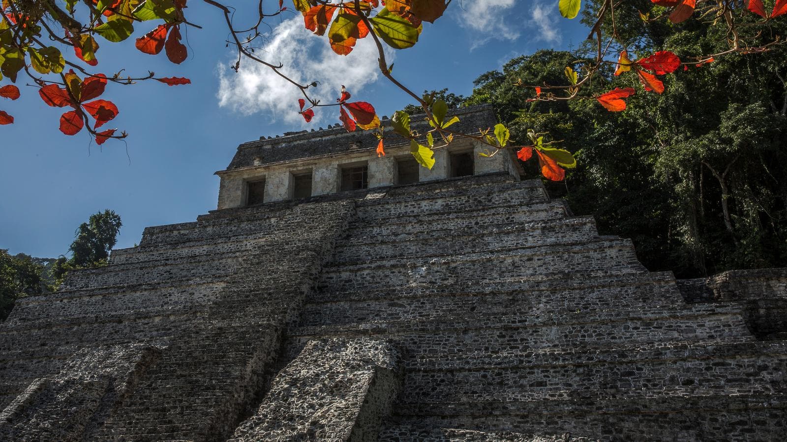 Banner image of Mayan Trail