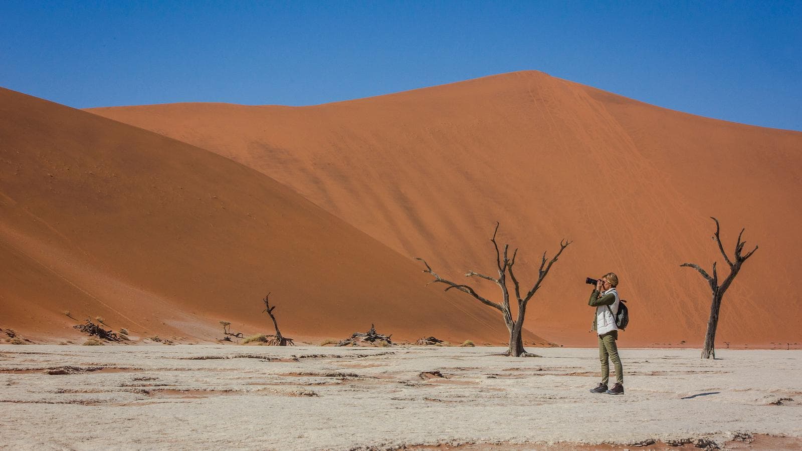Banner image of Cape Town to Namibia Overland Safari & Participation Camping