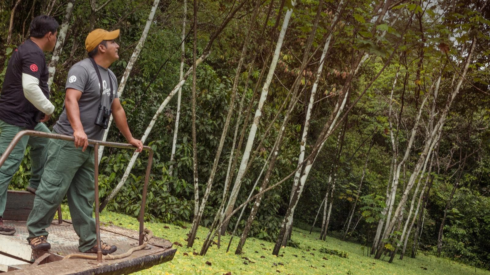 Banner image of G Lodge Amazon - 5 Day Independent Adventure