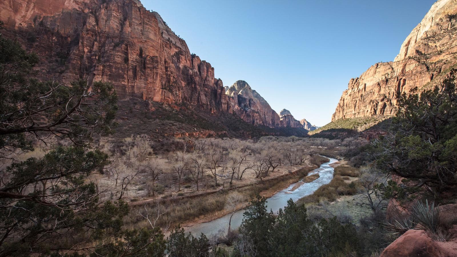 Banner image of USA National Parks Explorer
