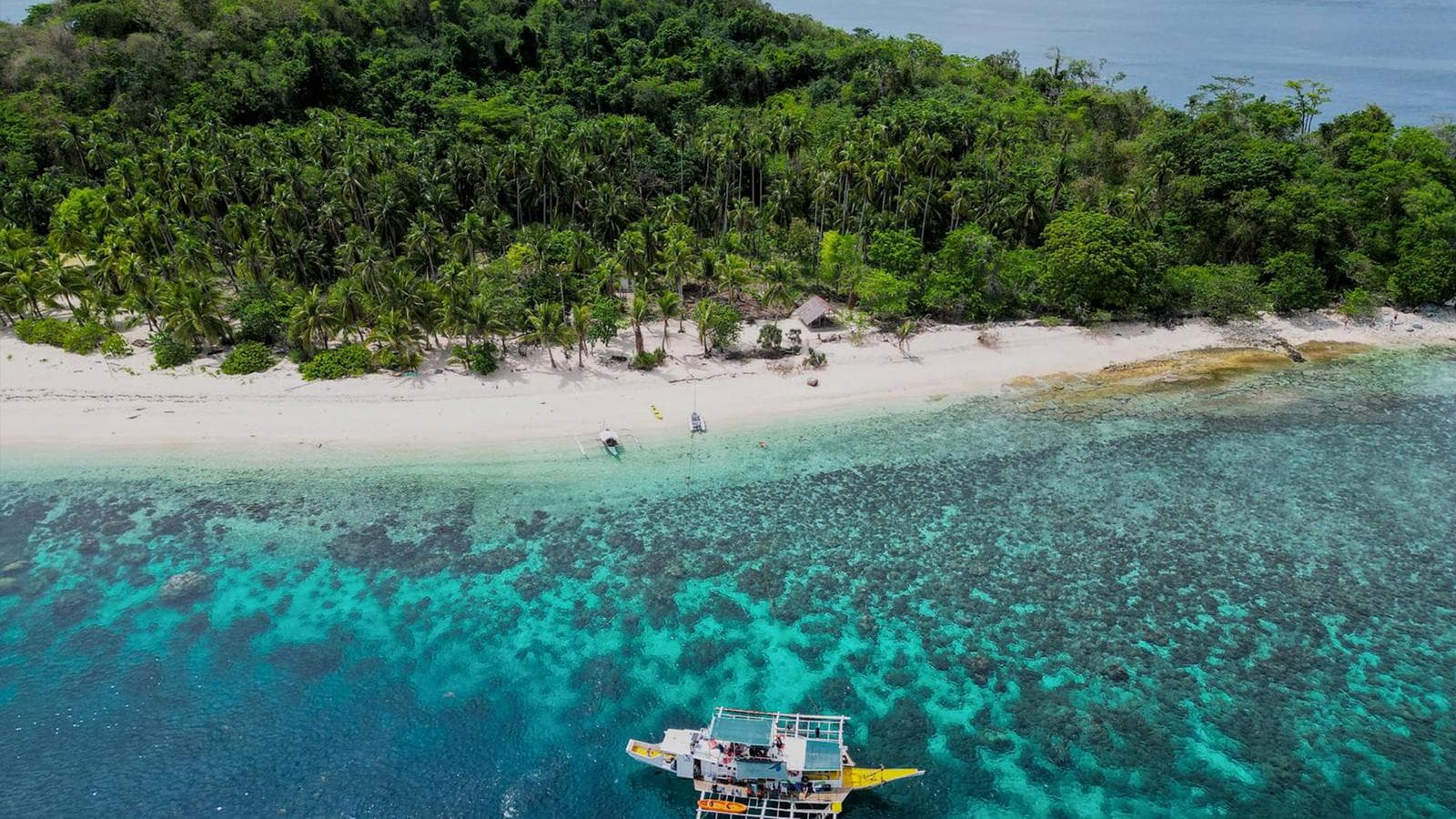 Banner image of Palawan and Coron: Underground Rivers, Snorkeling & Island Hopping