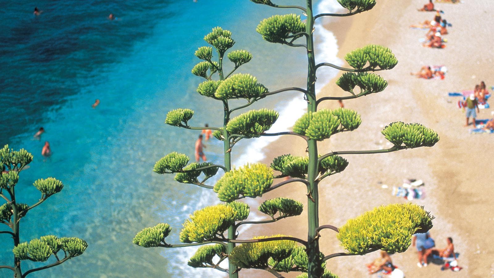 Banner image of The Dalmatian Coast: Croatia, Corfu & Medieval Cities