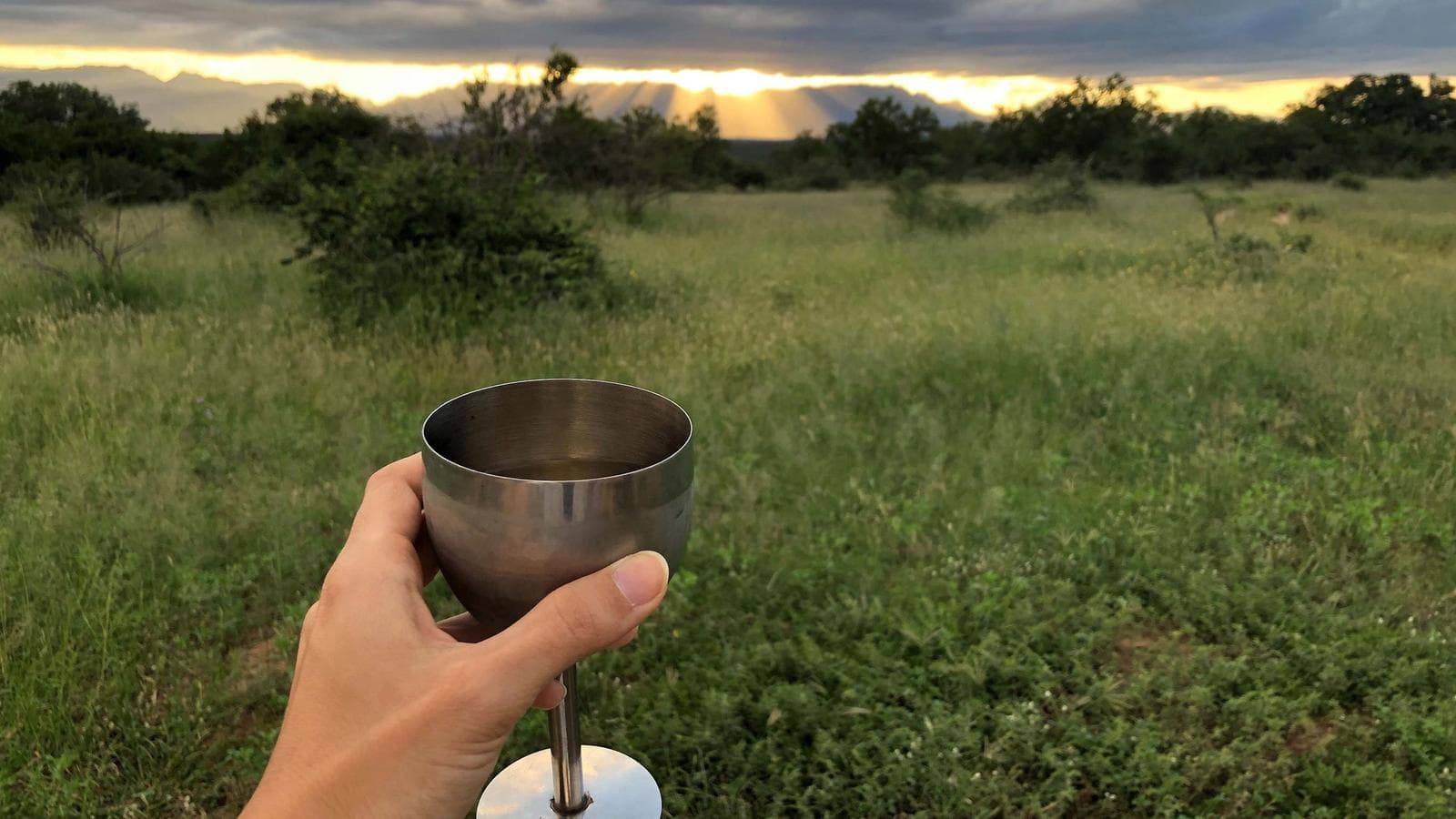 Banner image of Cape Town Day Tour: South African Wine (full day)