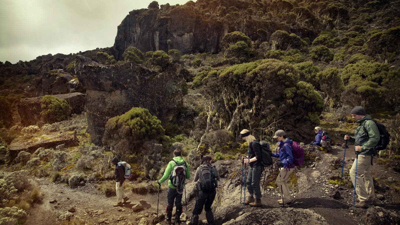 Banner image of Mt Kilimanjaro Trek - Machame Route (8 Days)