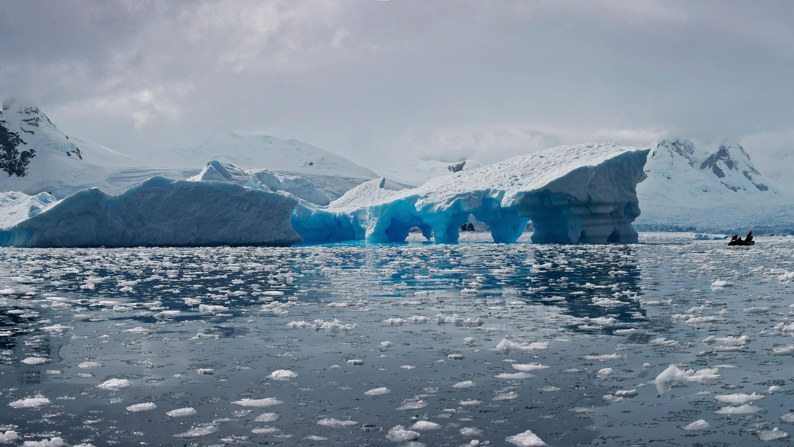 Banner image of Antarctica Classic