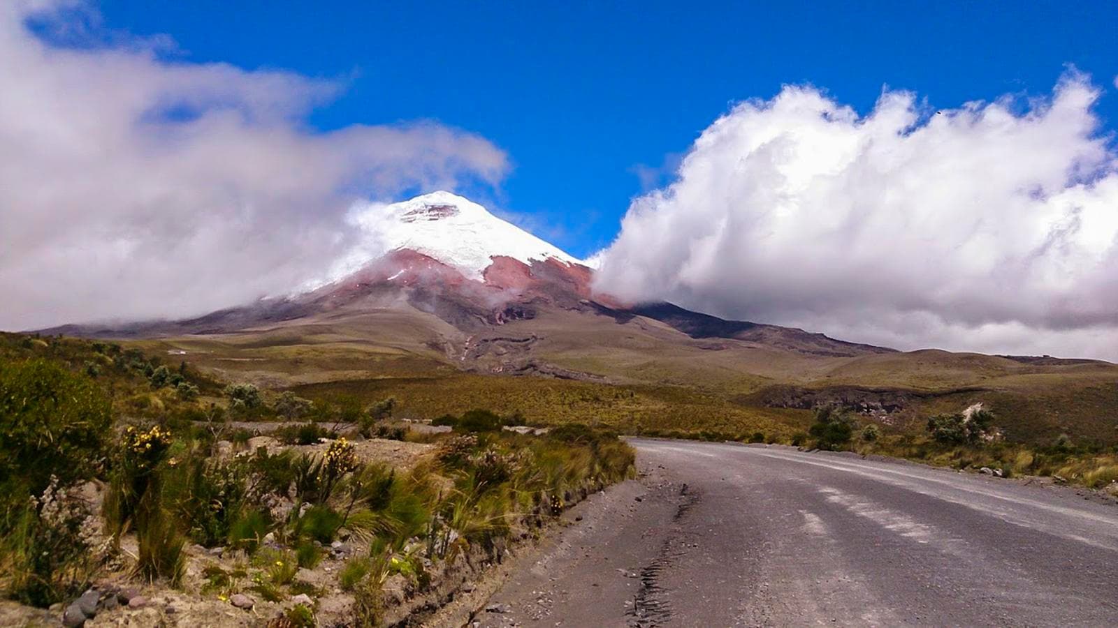 Banner image of Highlands of Ecuador