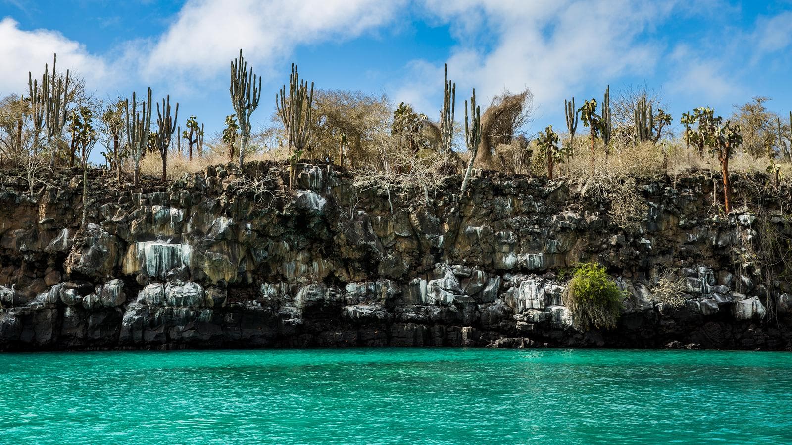 Banner image of Galápagos — North & Central Islands aboard the Evolution