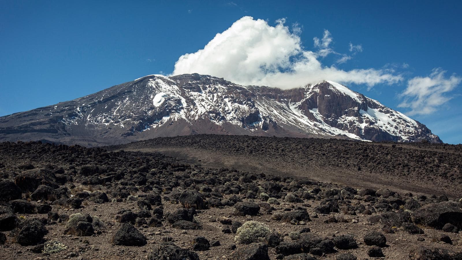 Banner image of Mt Kilimanjaro Trek - Machame Route (9 Days)