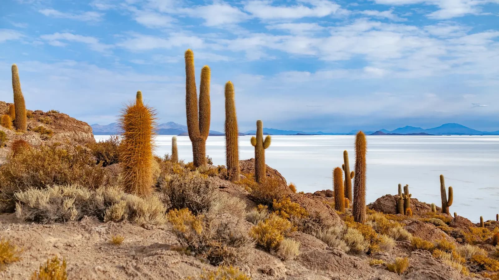 Banner image of Journeys: Highlights of South America
