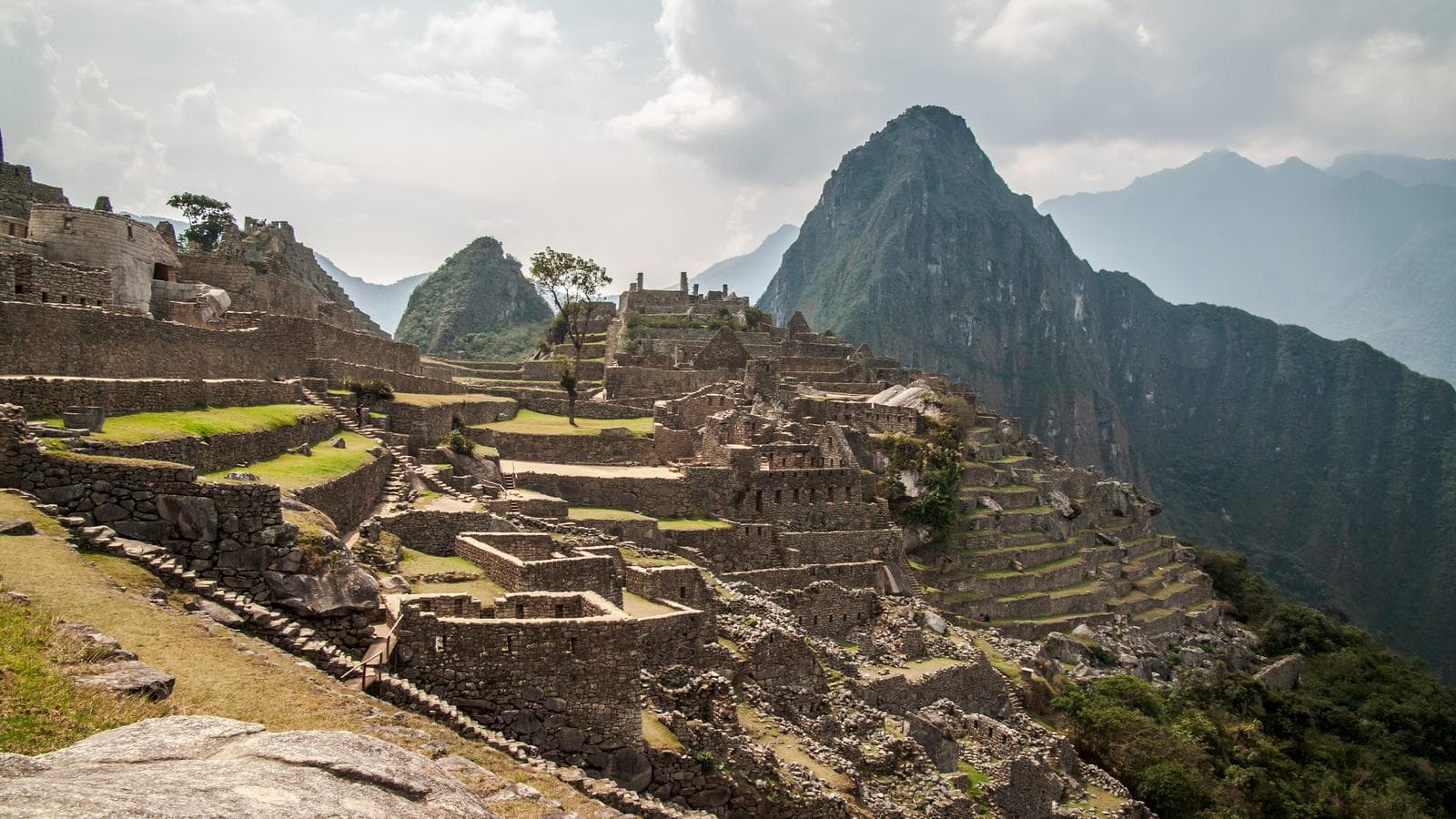 Banner image of Upgraded Peru Explorer