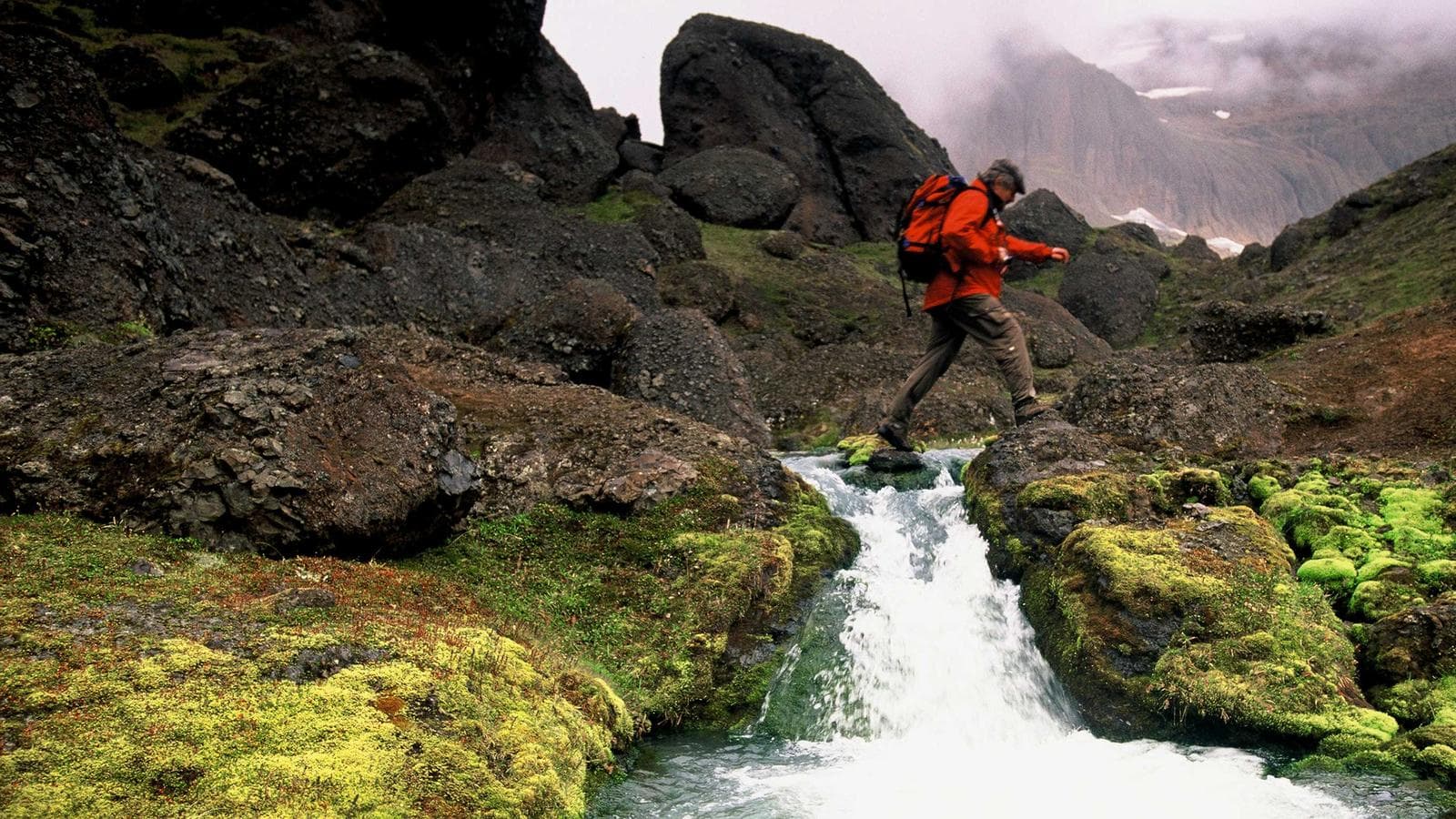 Banner image of Trekking Eastern Iceland