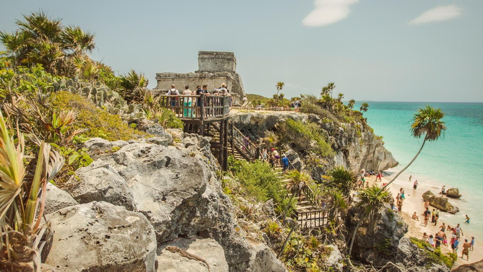 Banner image of Central American Journey: Rainforests & Ruins