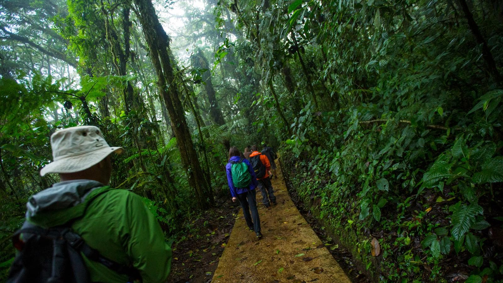 Banner image of Costa Rica: Monteverde and La Fortuna