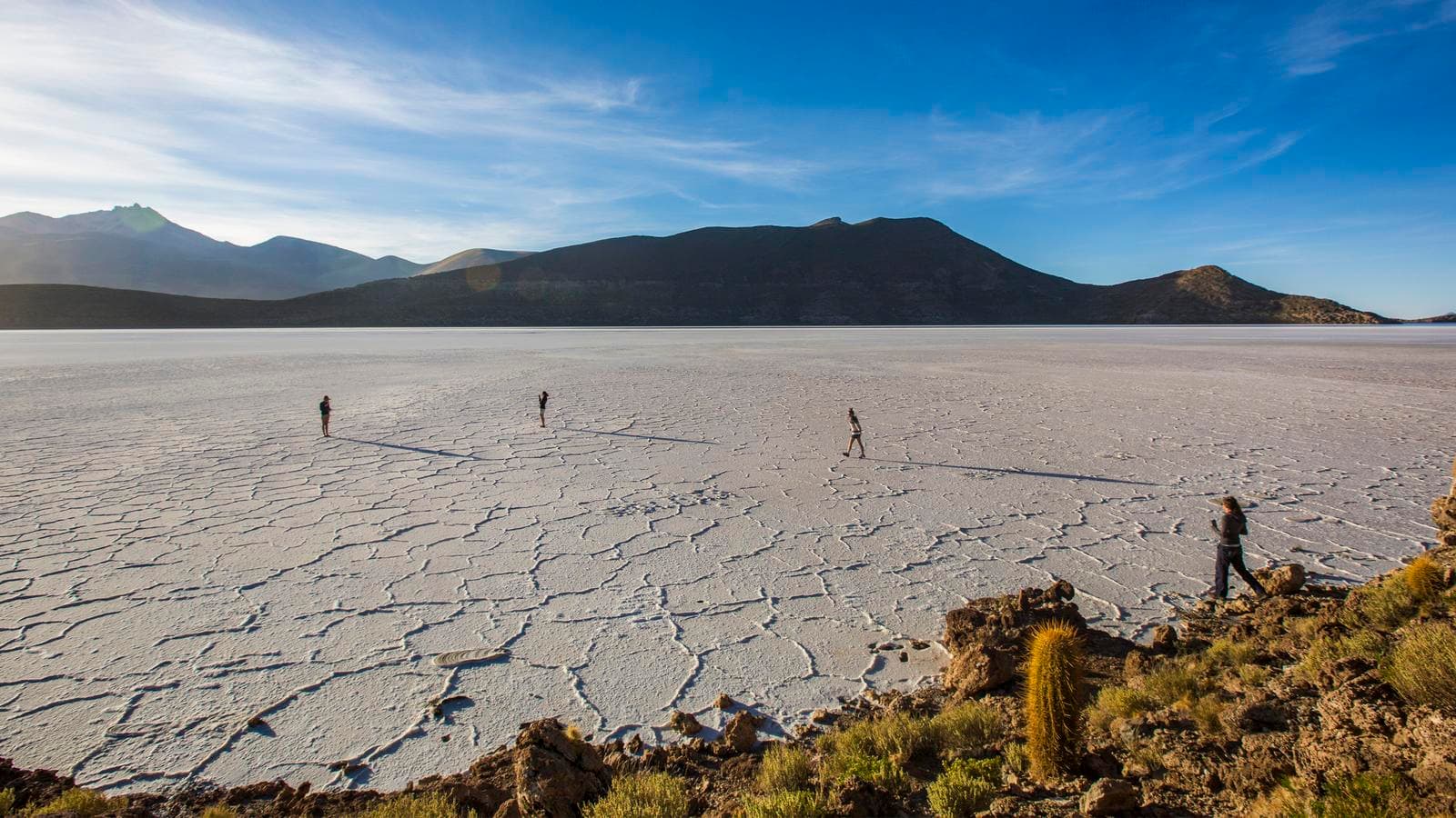 Banner image of Inca Heartland & Bolivia Discovery