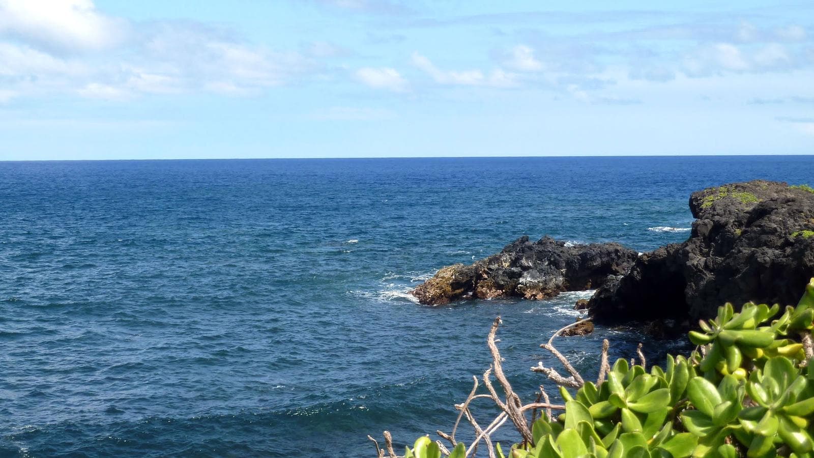 Banner image of Hawaii Multi-Island Explorer