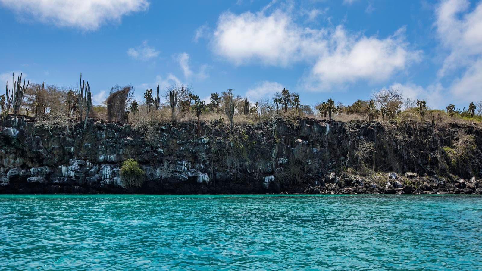 Banner image of Galápagos — South & East Islands aboard the Yolita