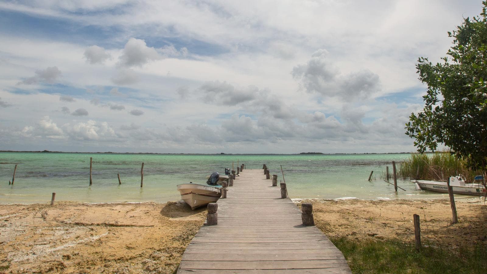 Banner image of Mexico's Yucatán Peninsula: Mayan Ruins & Cenotes