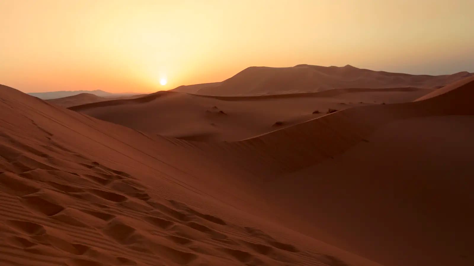 Banner image of Moroccan Sahara Discovery