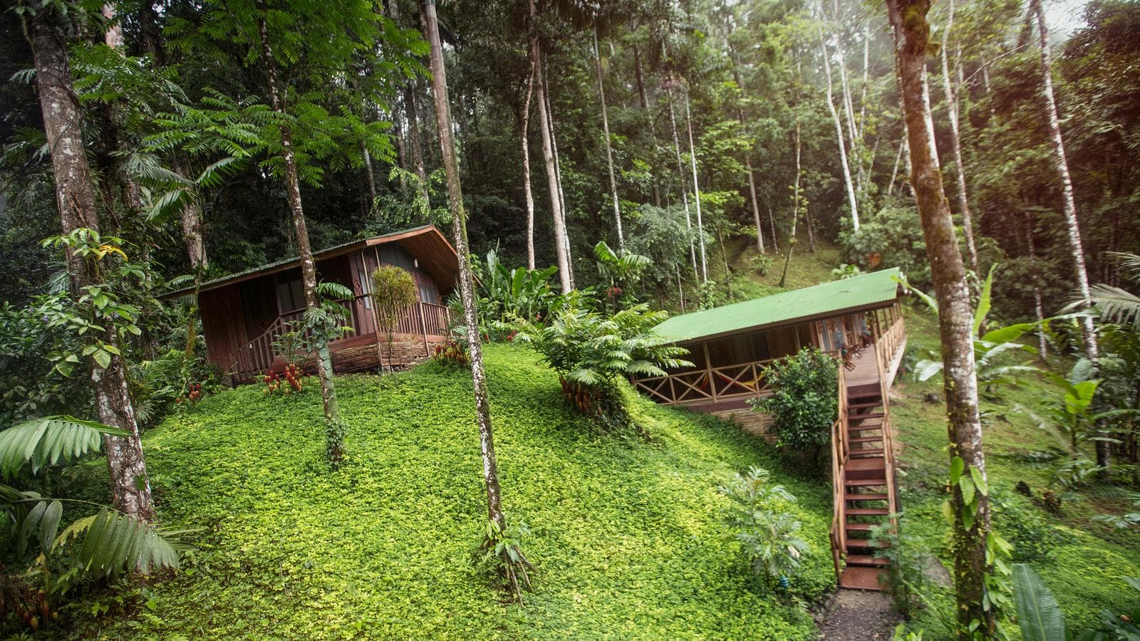 Banner image of Costa Rica Active Adventure