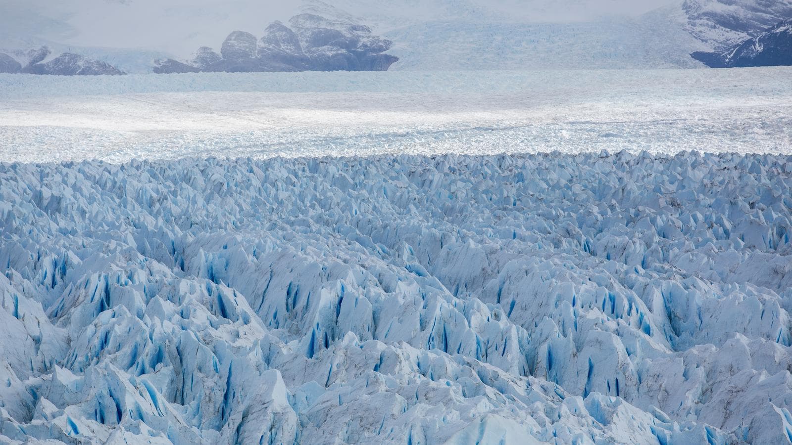 Banner image of The Glaciers Experience