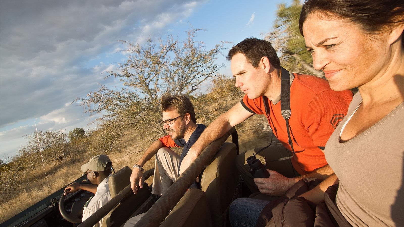 Banner image of Kruger & Falls